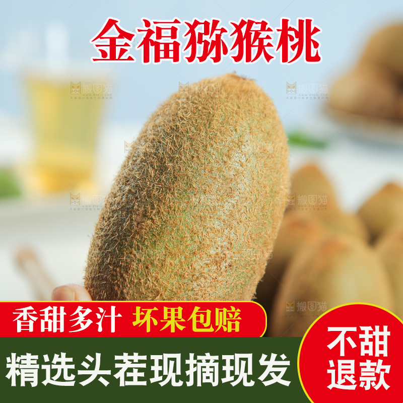 浅底上的猕猴桃