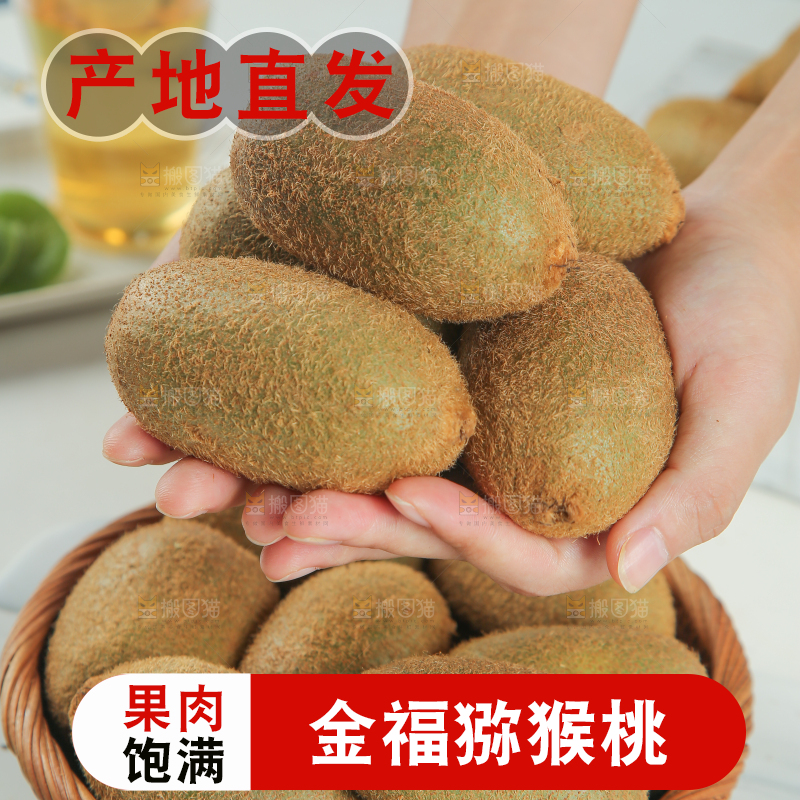 浅底上的猕猴桃