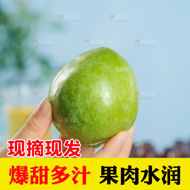 浅底上的奈李