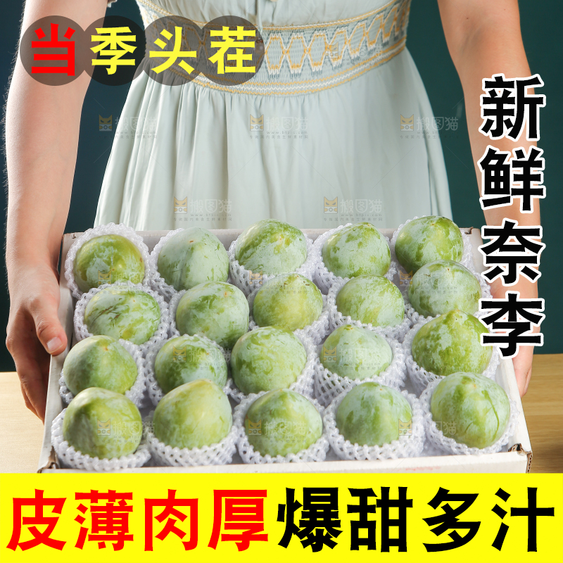 浅底上的奈李