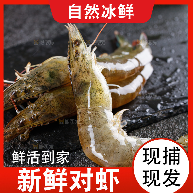深底上的青岛大虾