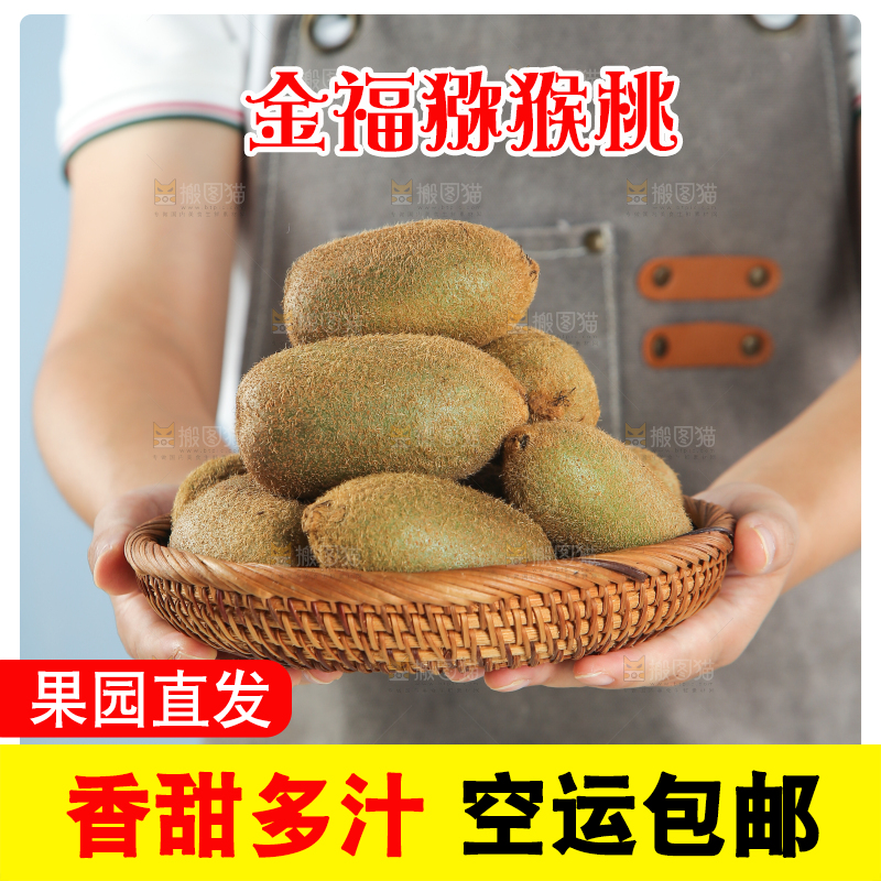 浅底上的猕猴桃