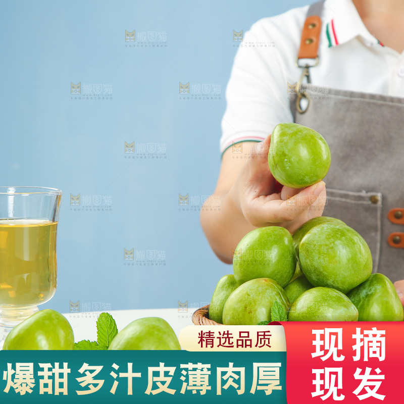 浅底上的奈李