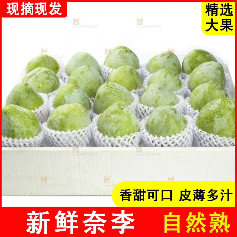 白底上的奈李