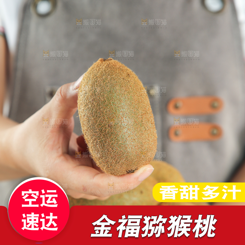 浅底上的猕猴桃