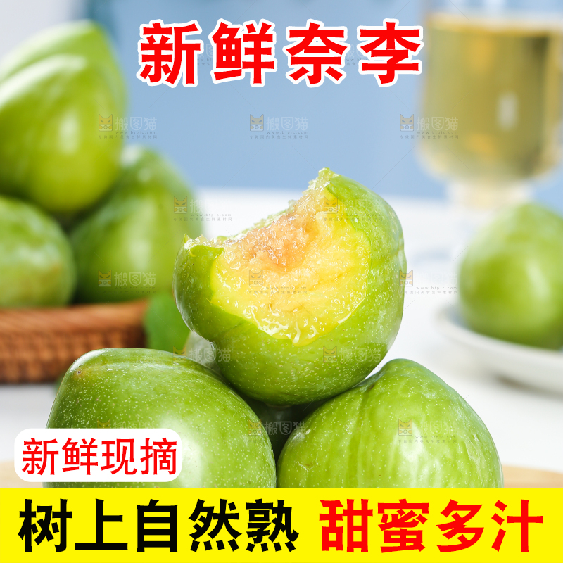 浅底上的奈李