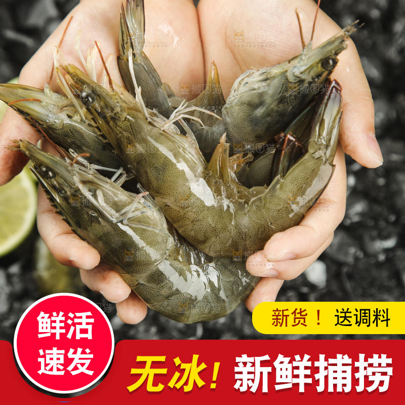 手里拿着青岛大虾