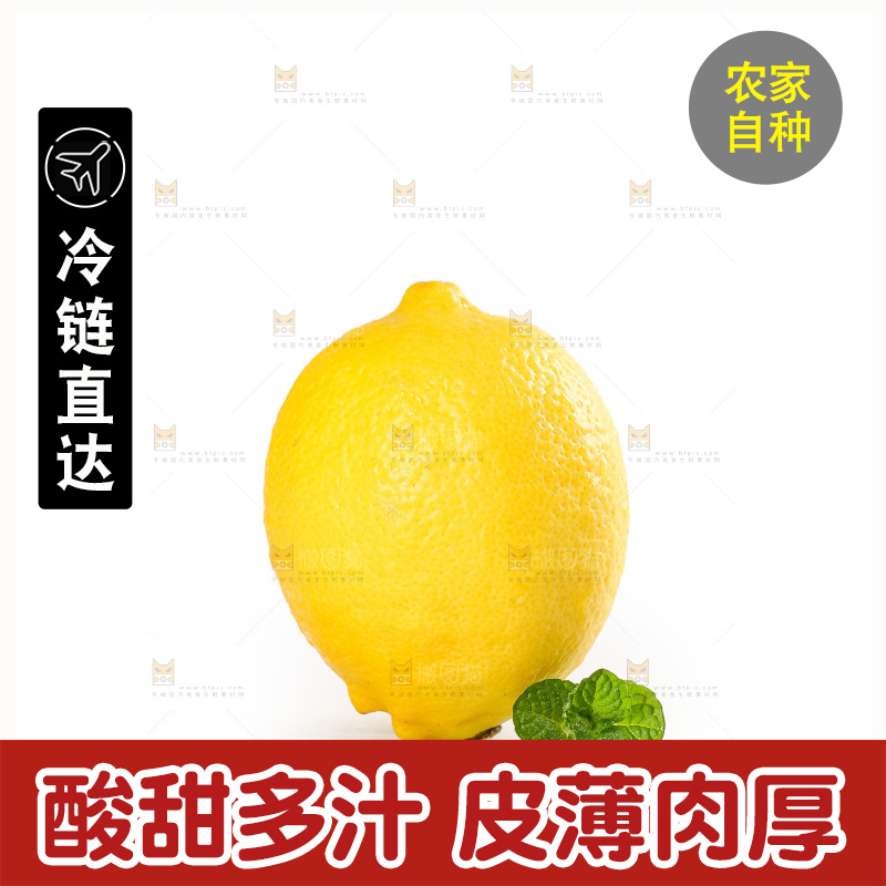 白底上的安岳黄柠檬