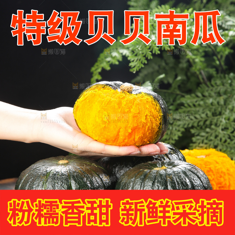 深底上的贝贝南瓜