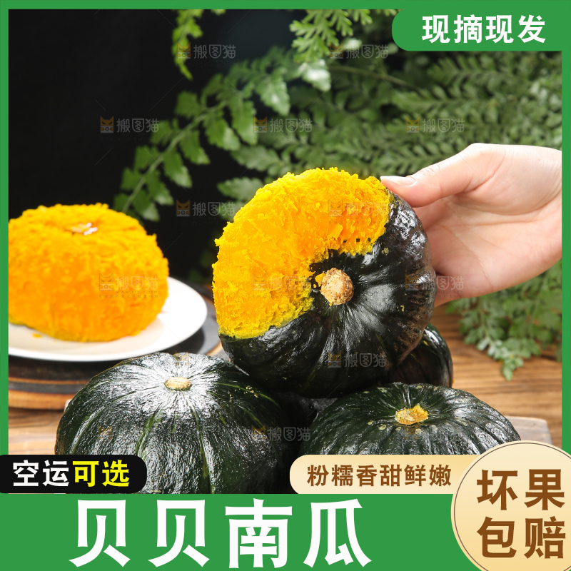 深底上的贝贝南瓜