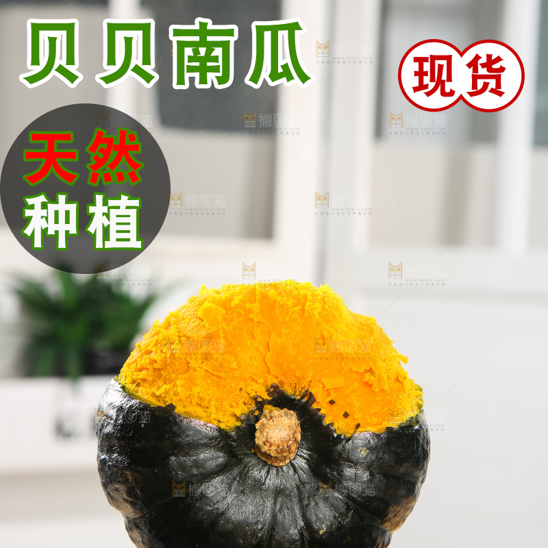 浅底上的贝贝南瓜