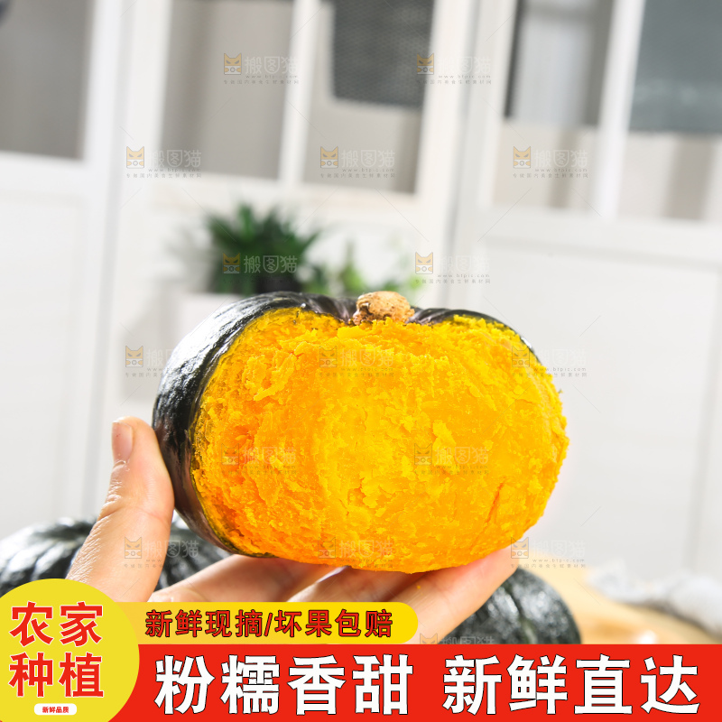 浅底上的贝贝南瓜