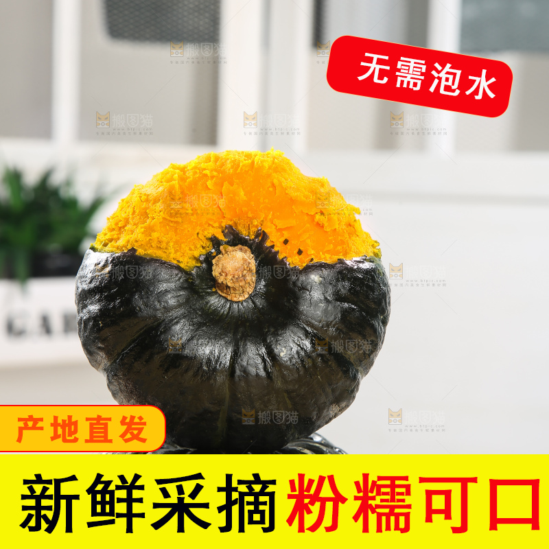 浅底上的贝贝南瓜