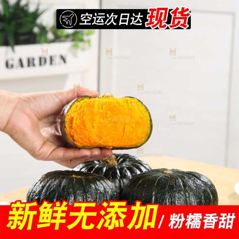 浅底上的贝贝南瓜
