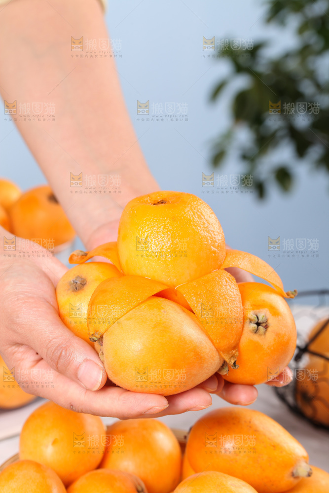 浅底上的新鲜枇杷