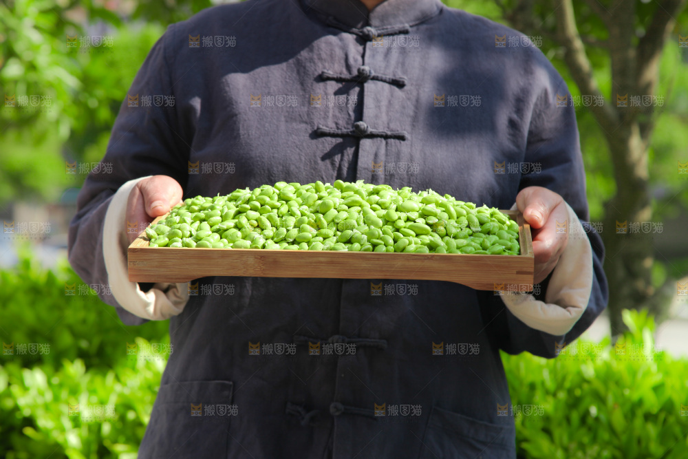 手里拿着毛豆