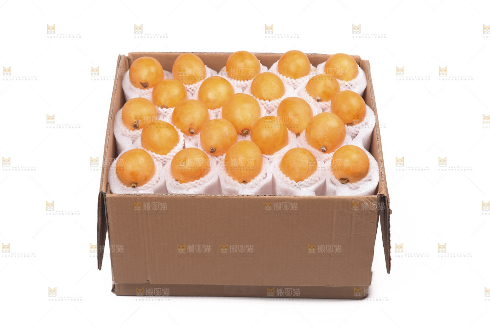 白底上的新鲜枇杷