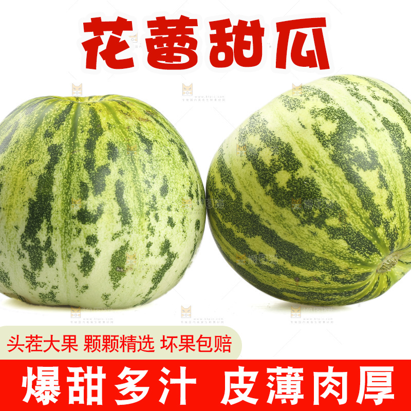 白底上的花蕾甜瓜