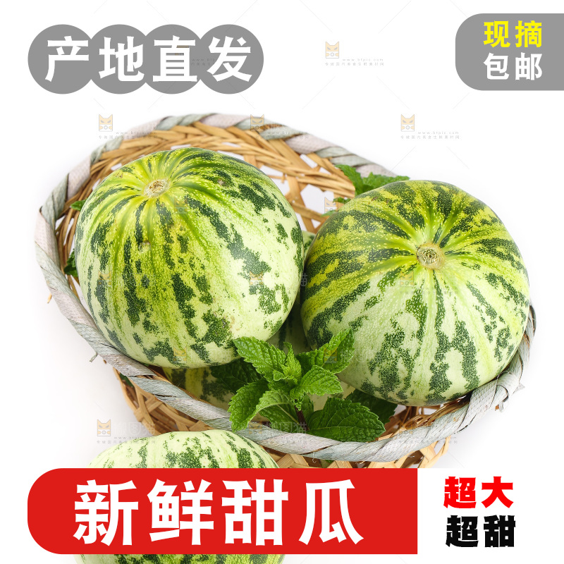 白底上的花蕾甜瓜