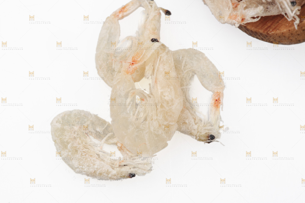白底上的虾米皮