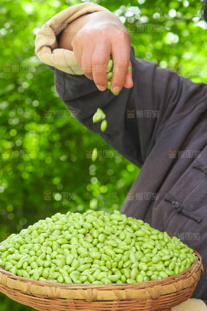 手里拿着毛豆