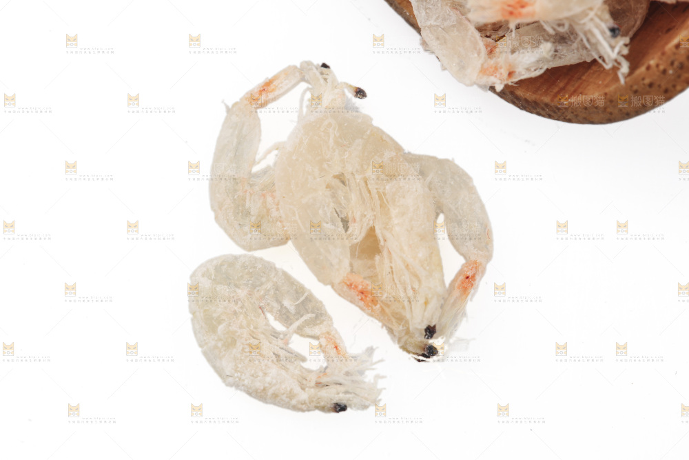 白底上的虾米皮