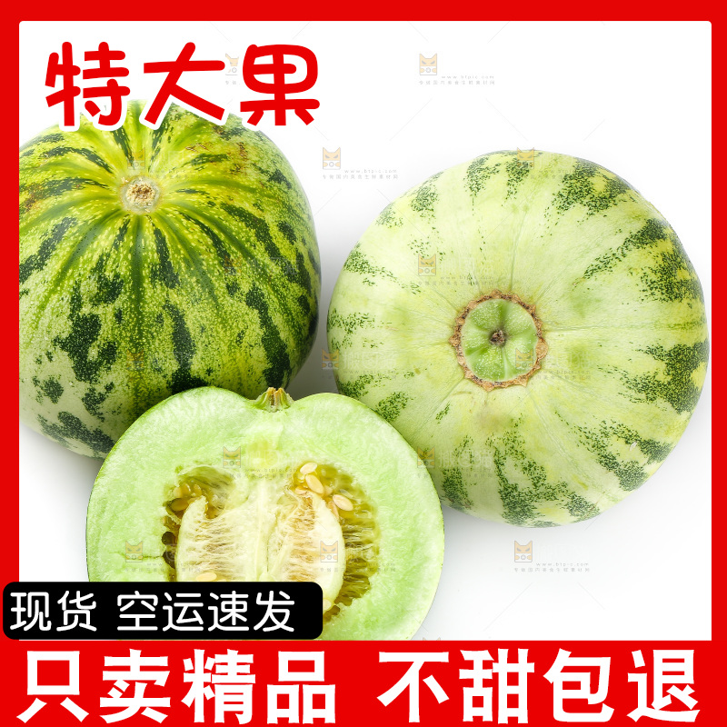 白底上的花蕾甜瓜