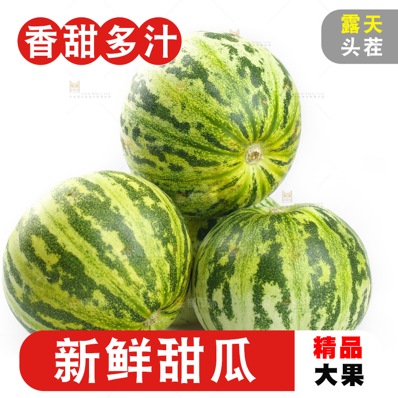白底上的花蕾甜瓜