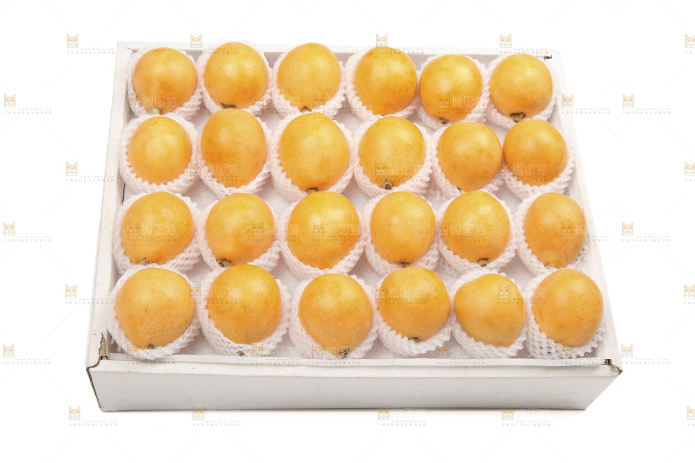 白底上的新鲜枇杷