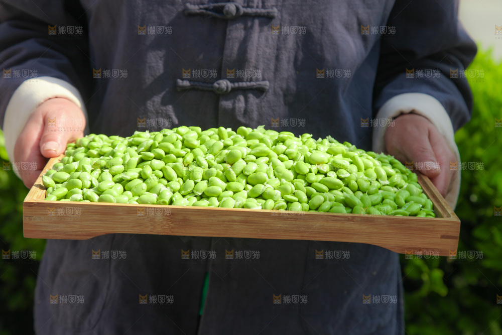 手里拿着毛豆