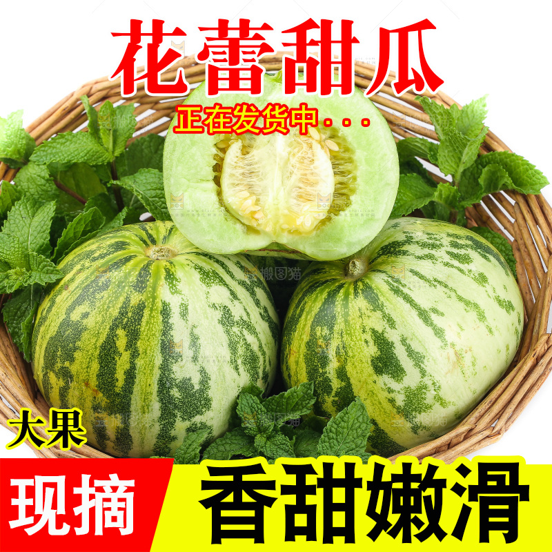 白底上的花蕾甜瓜