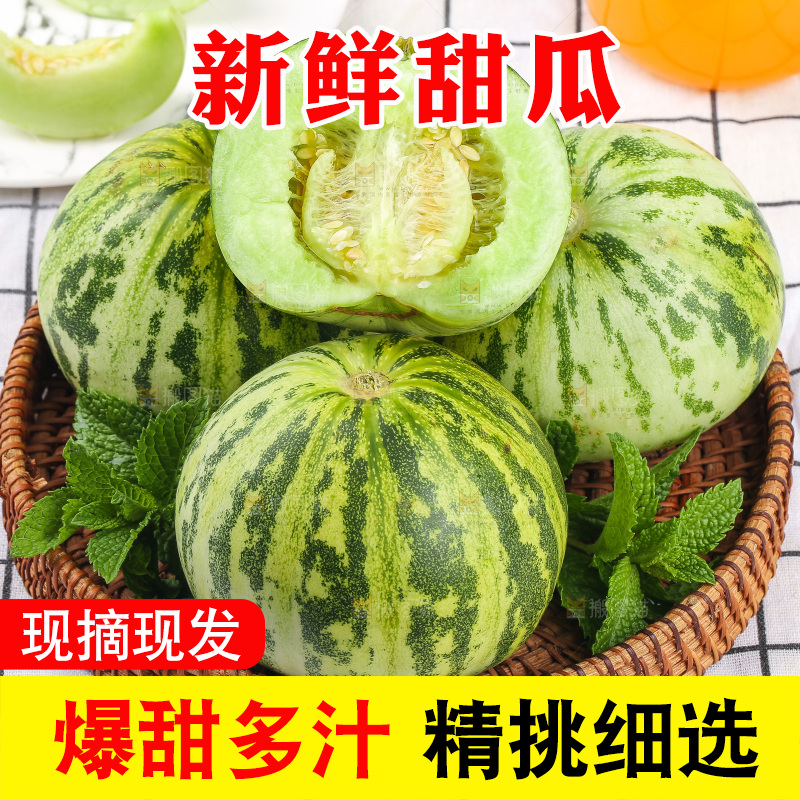 浅底上的花蕾甜瓜
