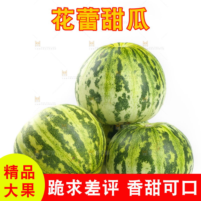 白底上的花蕾甜瓜