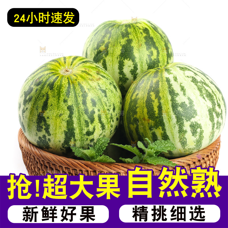 白底上的花蕾甜瓜