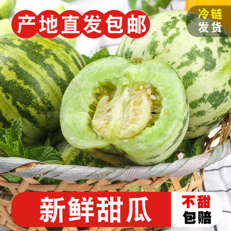 浅底上的花蕾甜瓜