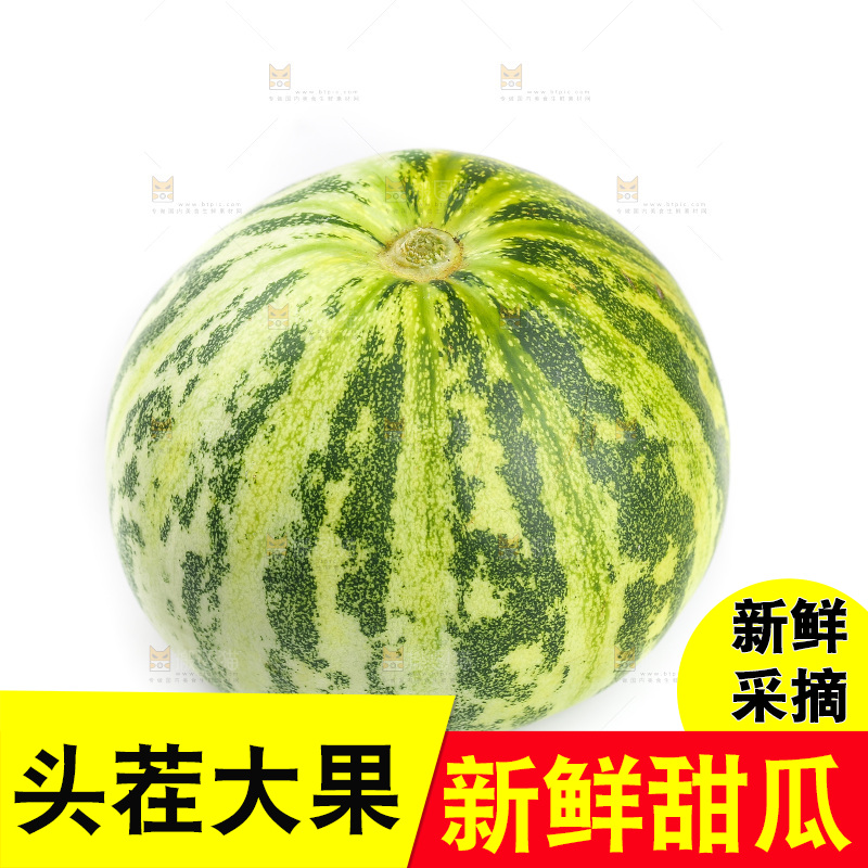 白底上的花蕾甜瓜