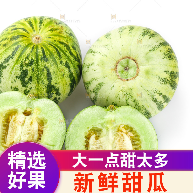白底上的花蕾甜瓜
