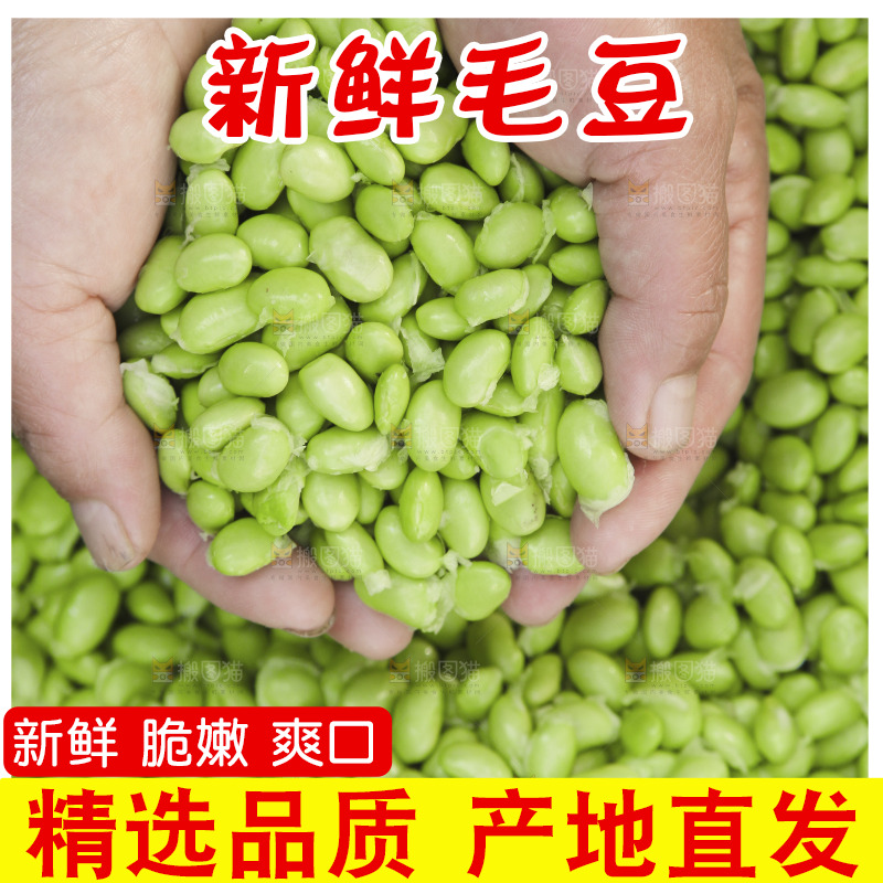 深底上的毛豆