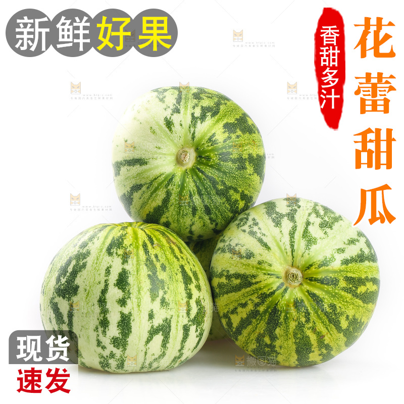 白底上的花蕾甜瓜