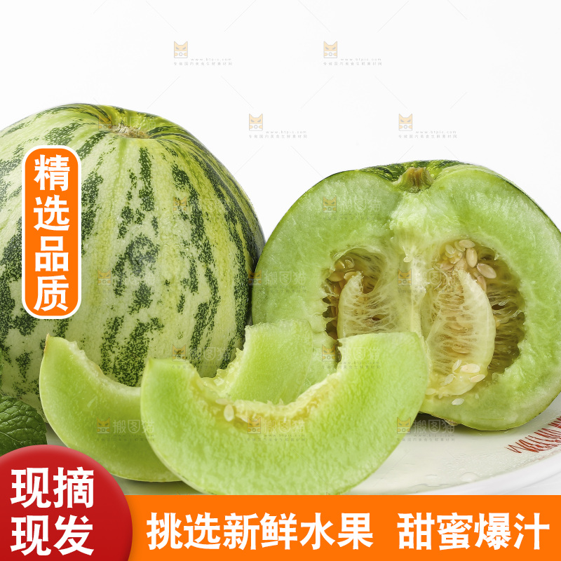 白底上的花蕾甜瓜