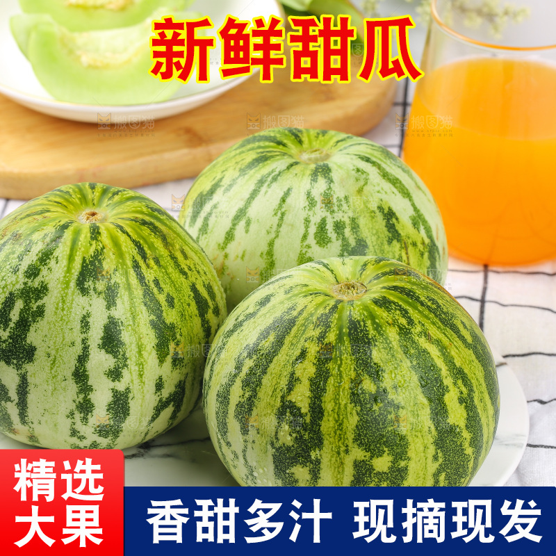 浅底上的花蕾甜瓜