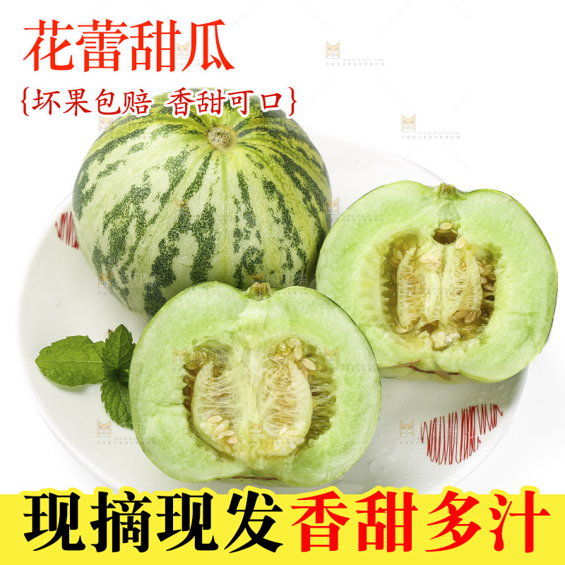 白底上的花蕾甜瓜