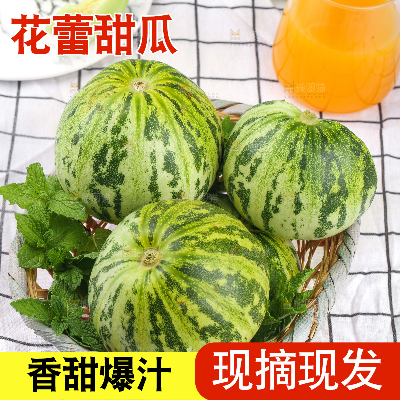 浅底上的花蕾甜瓜