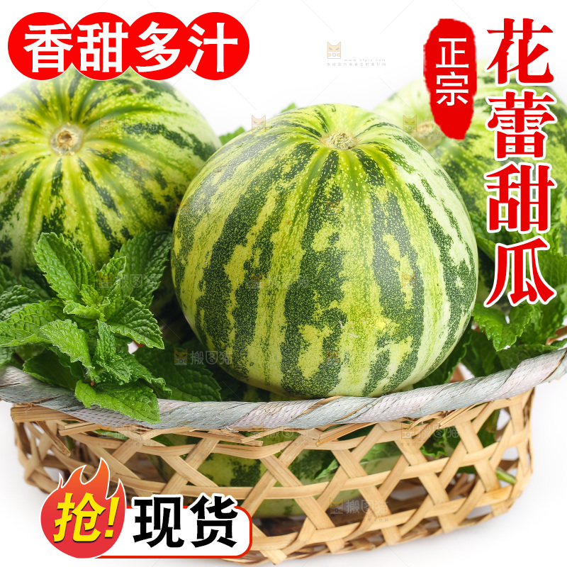 白底上的花蕾甜瓜
