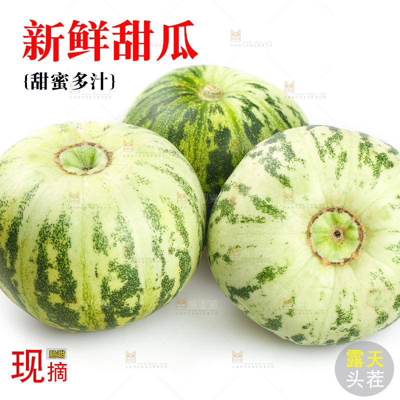 白底上的花蕾甜瓜