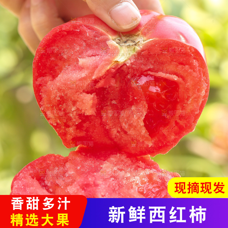 手里拿着沙瓤番茄