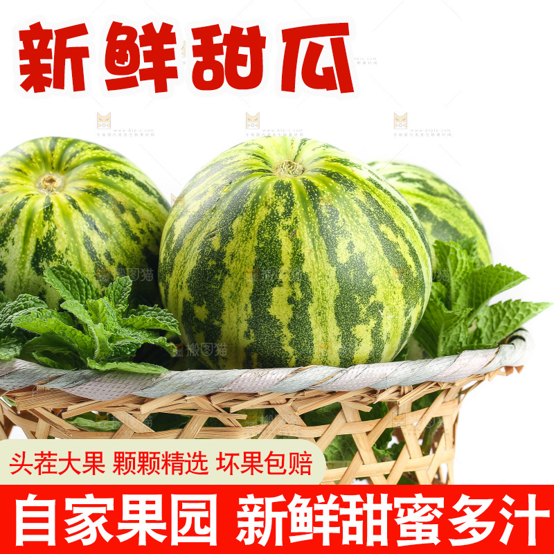 白底上的花蕾甜瓜