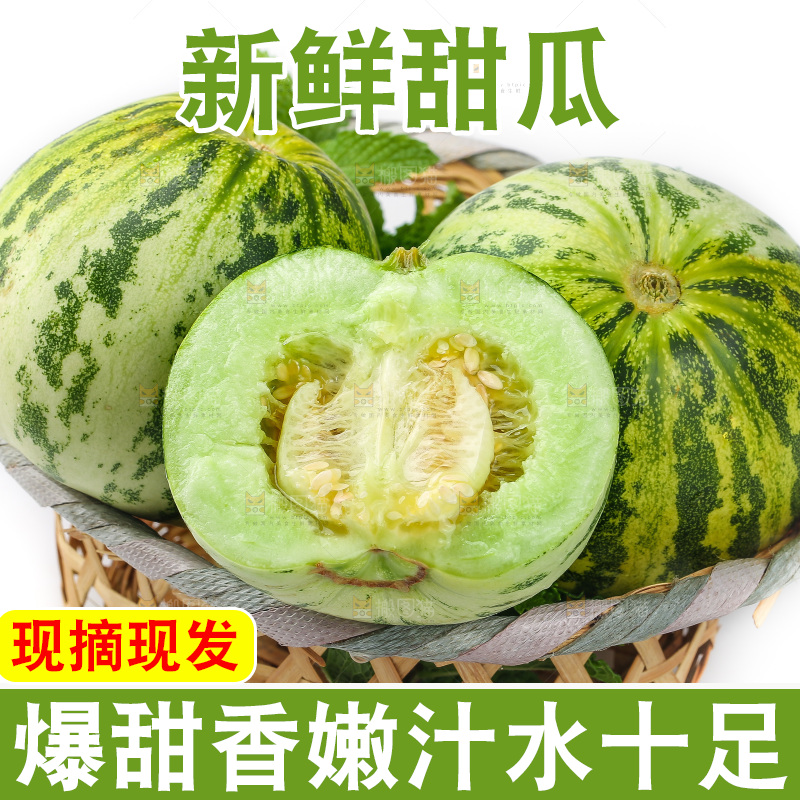 白底上的花蕾甜瓜