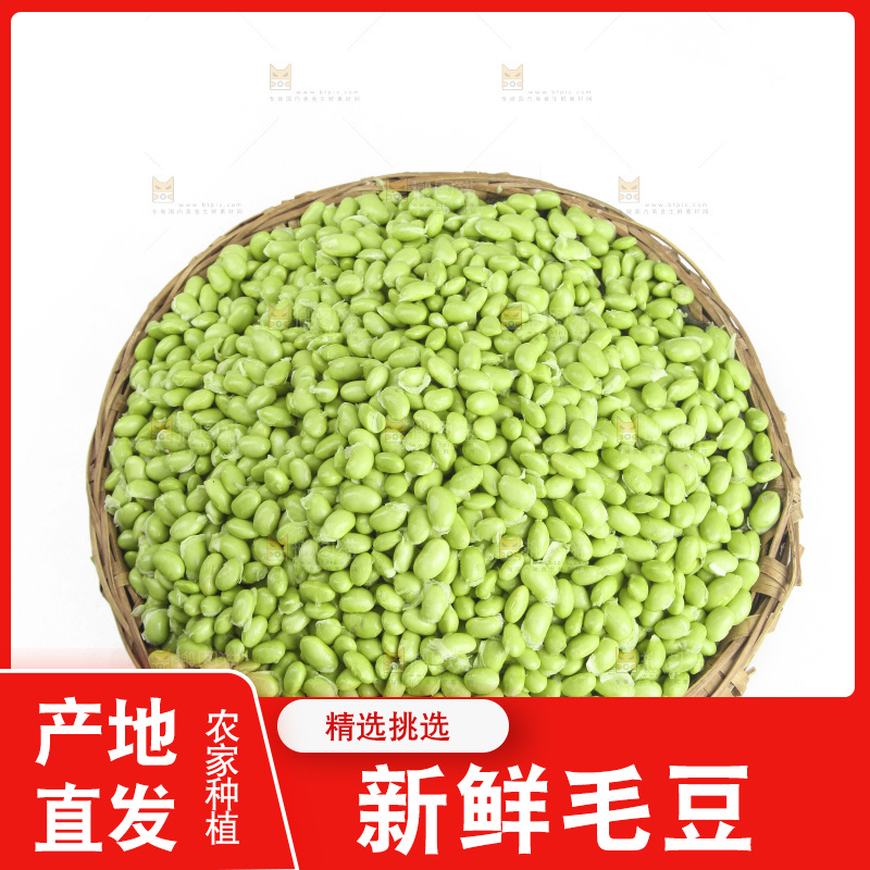 白底上的新鲜毛豆
