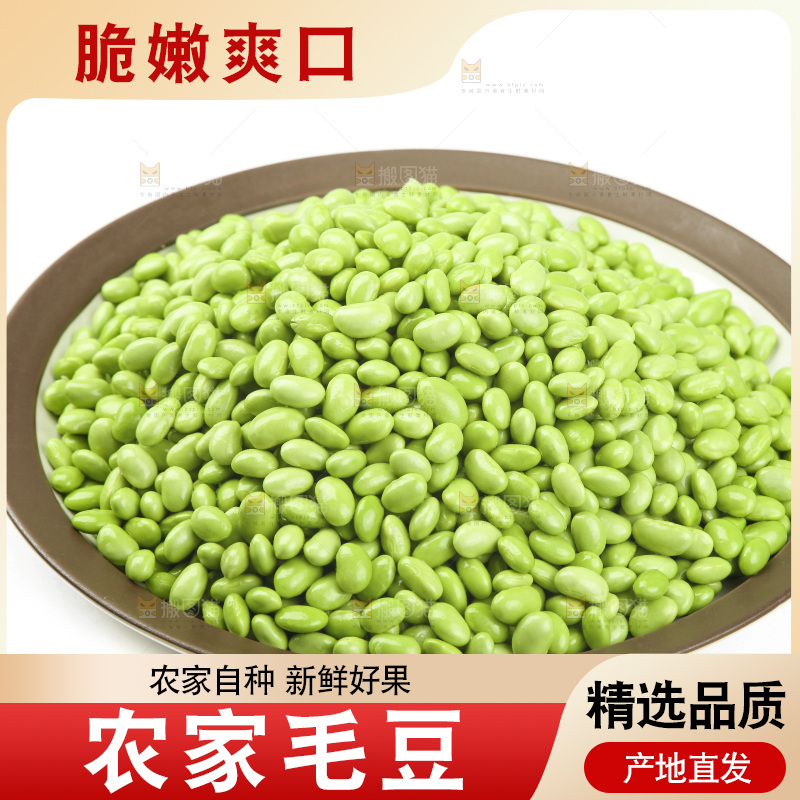 白底上的新鲜毛豆